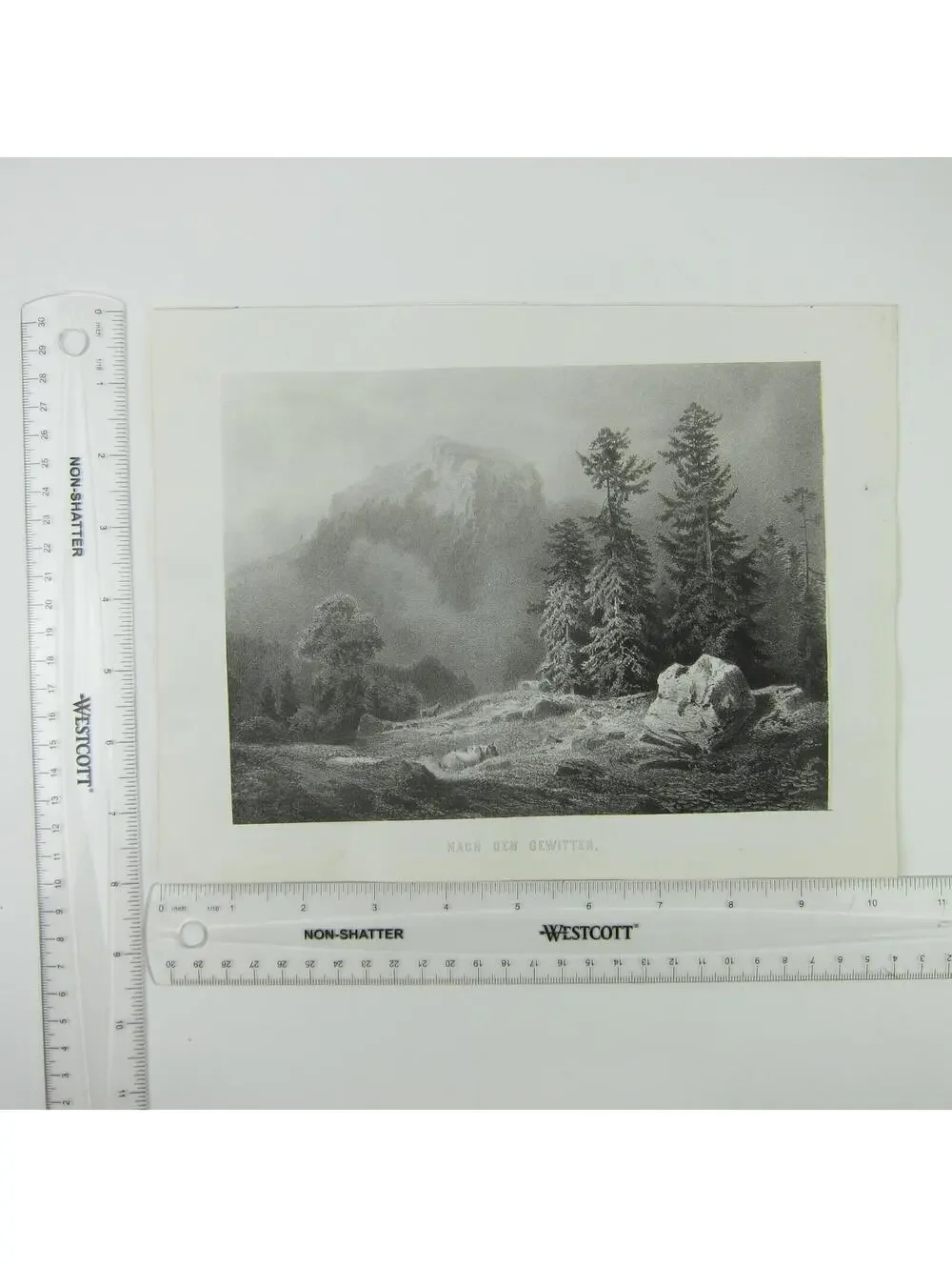 Antique Print Landscape After the Thunderstorm Cattle Cows Mountains Antique